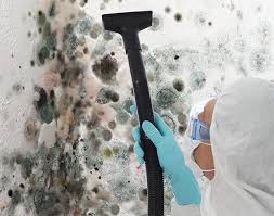 Best Forensic Mold Investigation  in Mclean, TX